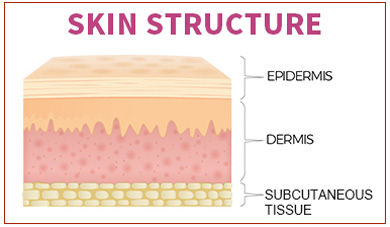 How much do you know about your skin?
